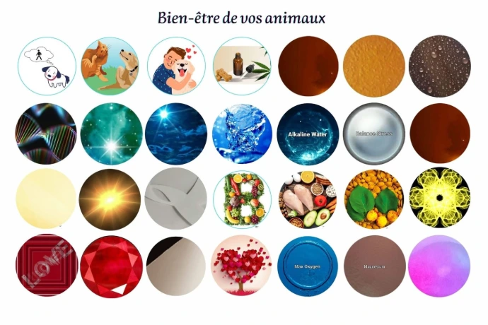 Holos Smarty pour le bien-être des animaux