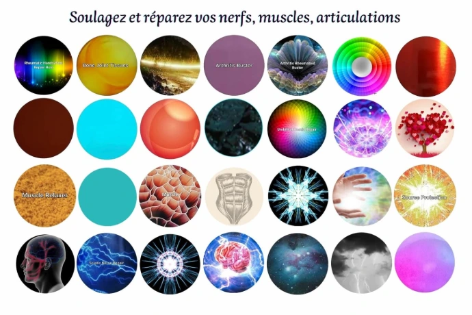 Holos Smarty pour les muscles, tendons, nerfs et articulations