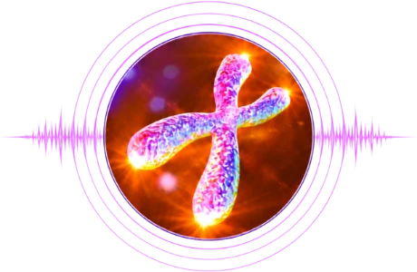 L'Univers Fréquence Guérison